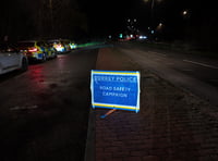 Record 369 arrests made during Surrey drink and drug driving crackdown