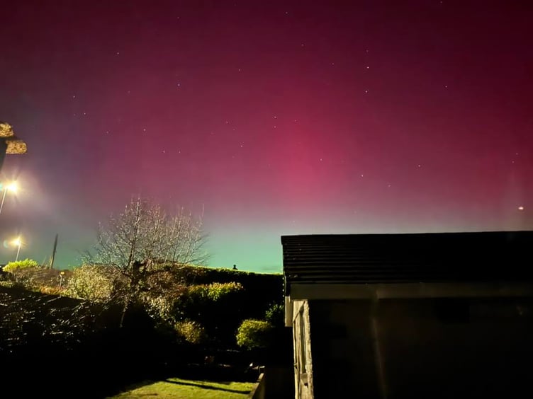 St Austell in the garden. Picture: Wendy Tubb