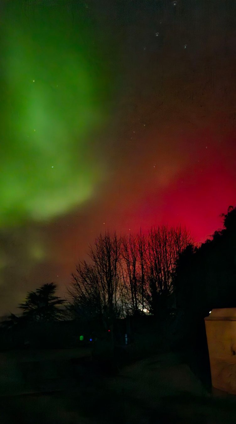 St Stephen. Picture: Chrissy Farrell