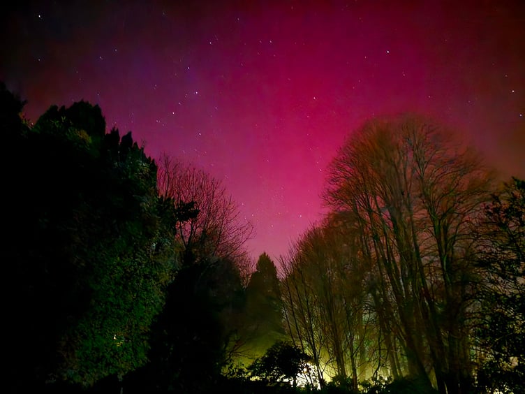 My garden in St Austell. Picture: Becky Gribben