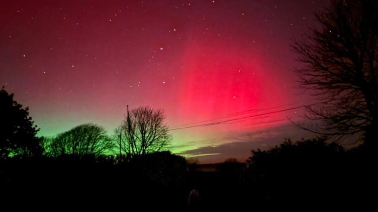 Treween. Picture: Lisa Baker-Pannell