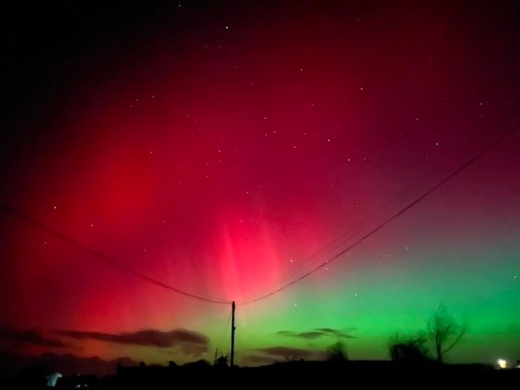 Picture: Louise Quinn
