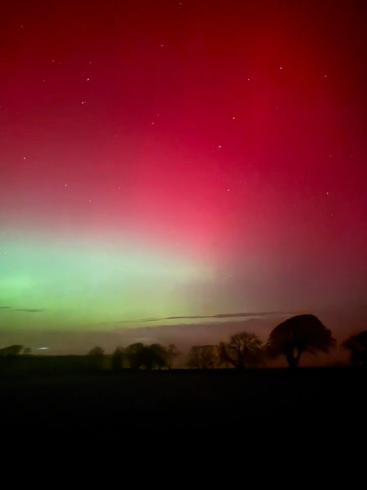 Tregeare. Picture: Nicky Foulds