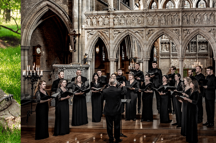 Surrey Hills International Music Festival.