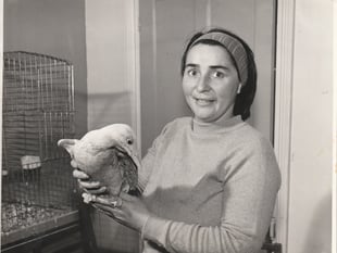 Remembering East Hampshire wildlife enthusiast Molly Burkett MBE