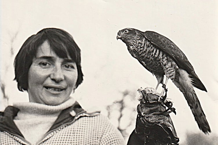 Molly Burkett with a sparrow hawk in 1968.