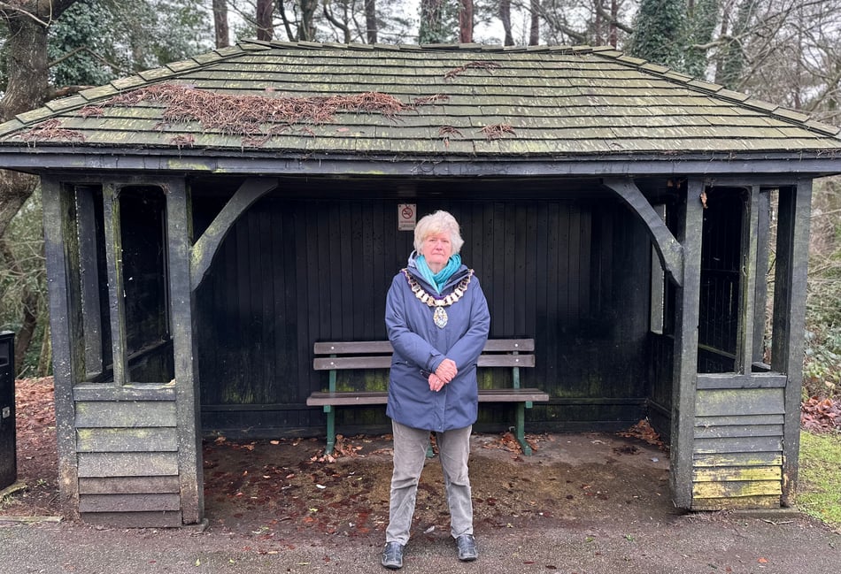 <p>Haslemere Mayor Jean Arrick at the Beacon Hill bus stop.</p>