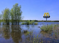 McDonald's drive-thru battle resumes near Tice’s Meadow