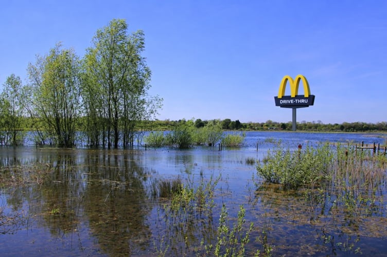 A digitally created image illustrating the proposed McDonald’s drive-thru development near Tice’s Meadow. The sign is shown for visual context only. (AI-generated image)