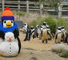 Birdworld unveils brick penguin trail for half term