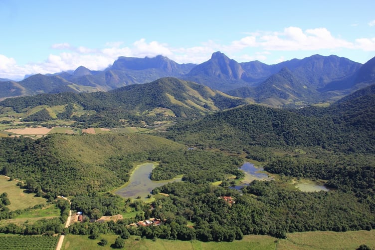 Birdworld funds 26 acres of habitat for Critically Endangered species