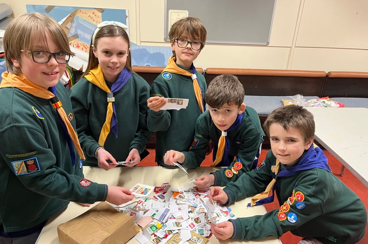 Petersfield Cubs Sorting