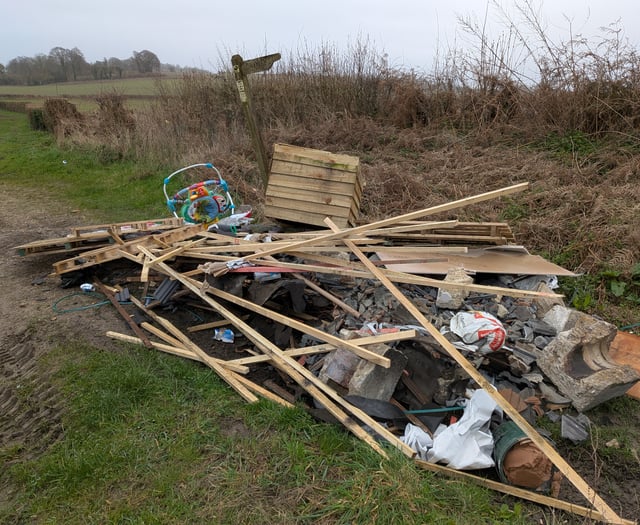 Fly-tippers strike again as pile dumped on road near Selborne