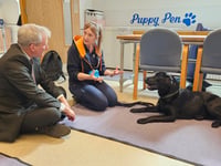 MP learns all about autism assistance dogs