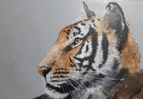 Hampshire and Surrey clubs and societies news