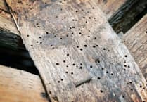 Peeps into the Past: Village roots of £5 billion pest control firm