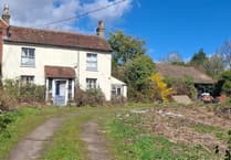 "It's just too much" as plans for seven homes on North Farnham site rejected