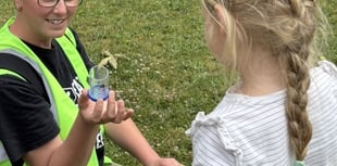 The bees are back in town