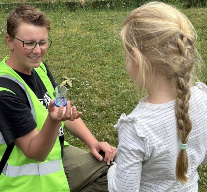 <p>The bee safari is returning to Farnham.</p>