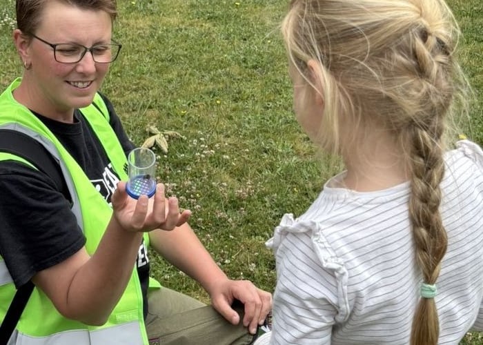 The bee safari is returning to Farnham.