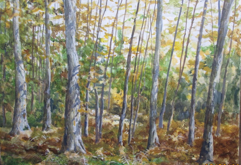 <p>Larch wood, by Robin Lees.</p>