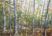 Meet the artists at exhibition in Alton