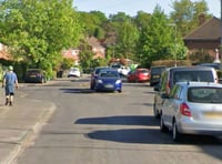 Highs and lows as New Year crime figures for Farnham released