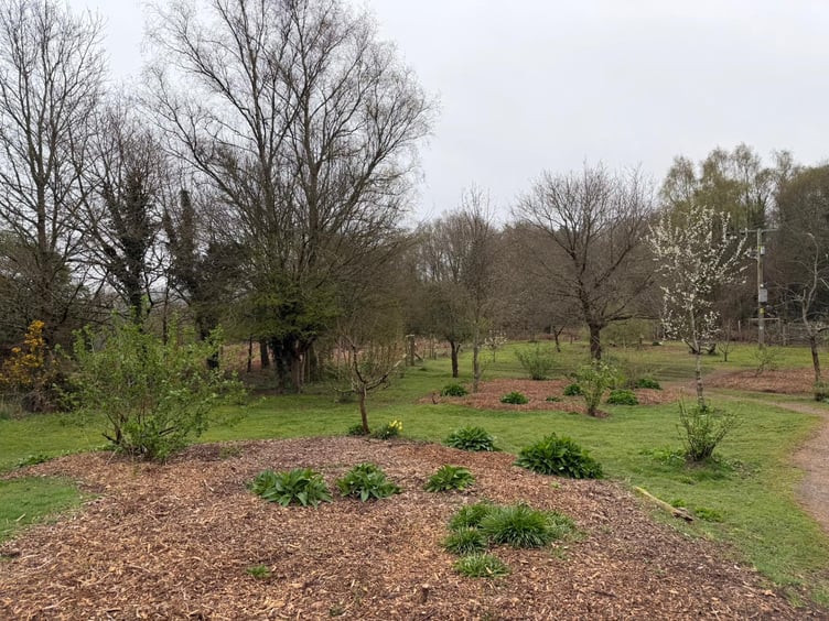 Berry Hill Community Orchard