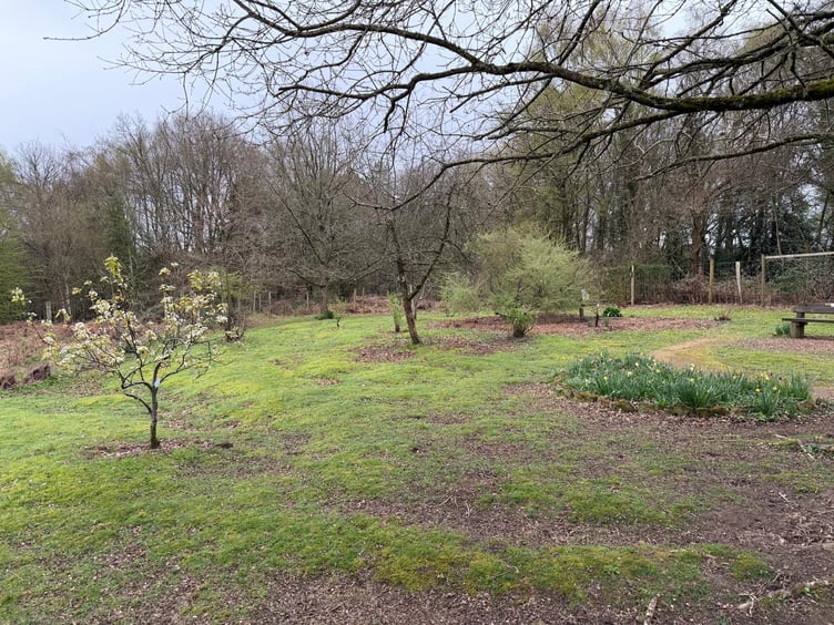 Berry Hill Community Orchard