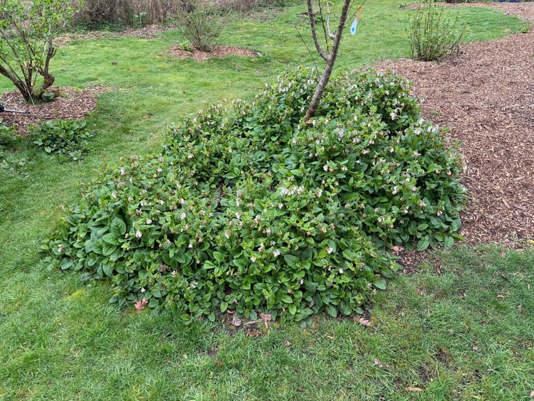 The area is well kept