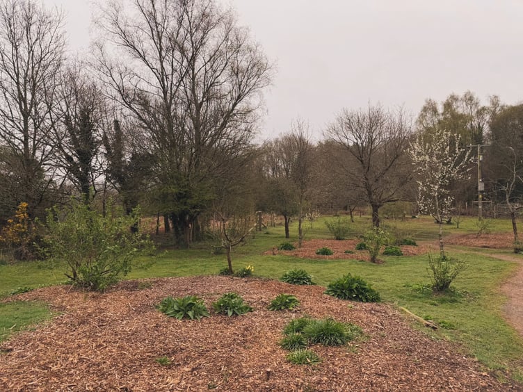 Berry Hill Community Orchard
