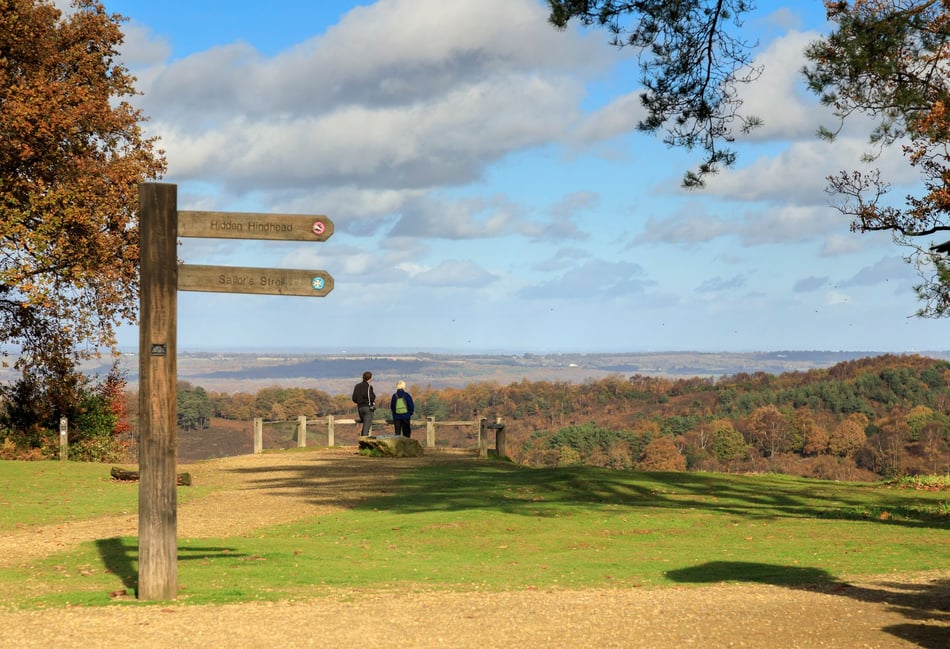 <p>Hindhead Commons and the Devil's Punch Bowl</p>