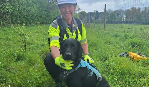 Sniffer dogs take the lead in tracking down leaking pipes in Hampshire