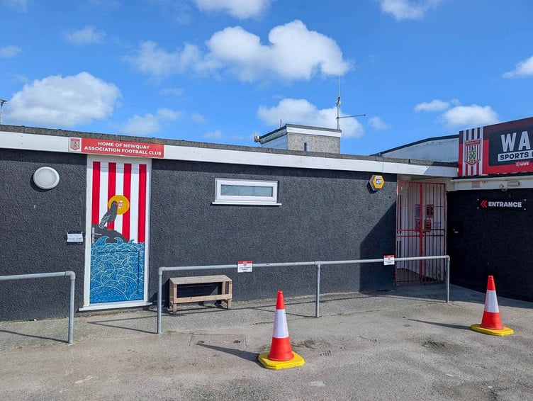 Ro An Mor' – From the Sea in Cornish by Amy Cruse. A folk-art tribute to Newquay FC — Cornish Chough, peppermint stripes and sea spirit — painted to honour the town's pride, history and community