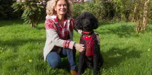 Poodle and owner running 1,000 miles for cancer charity in 2026 