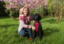 Poodle and owner running 1,000 miles for cancer charity in 2026