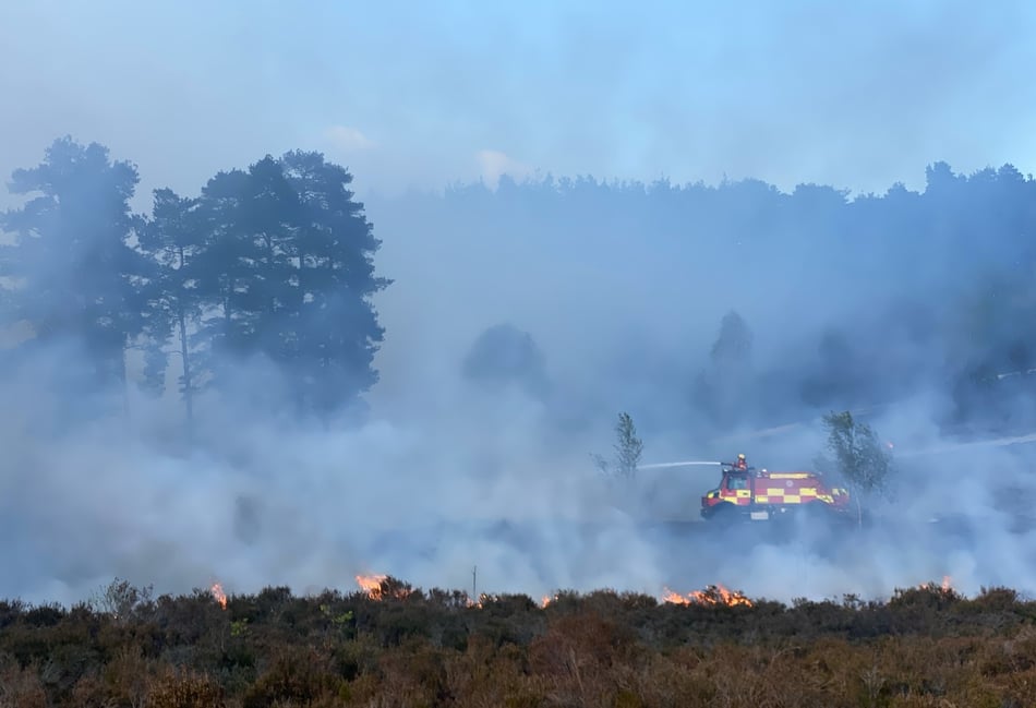 <p>Firefighters tackle the wildfire at Hankley Common as crews work to bring the blaze under control. Credit: The Sculpture Park</p>