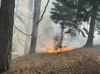 WATCH: Firefighters tackle woodland blaze between Churt and Headley