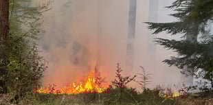 Fire crews tackle major heath blaze on Surrey–Hants border