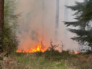 Fire crews tackle major heath blaze on Surrey–Hants border