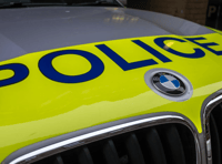 Appeal after pony dies in lane collision