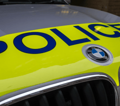 Appeal after pony dies in lane collision