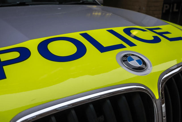 Appeal after pony dies in lane collision