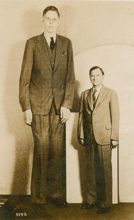 The Alton giant Robert Wadlow with his father. (Wikimedia - public domain)