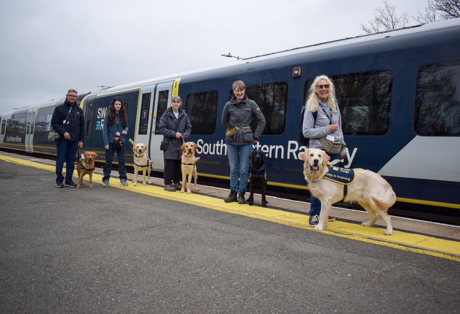 <p>Guide dog puppies and volunteer raisers with SWR train.</p>