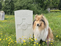 Grave of First World War soldier on cemetery tour