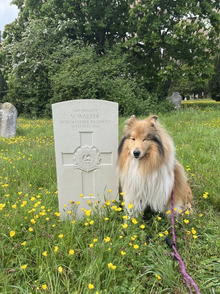 Private Victor Walter's grave, Alton Cemetery, May 3rd 2026.
