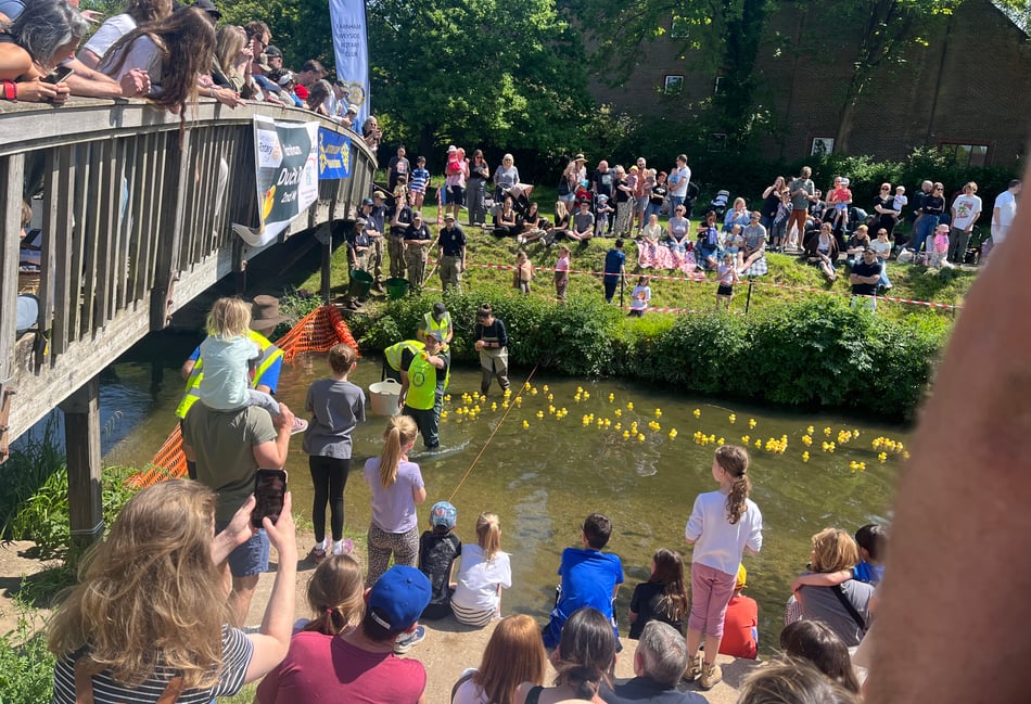 <p>A scene from the Great Farnham Duck Race 2026.</p>
