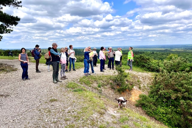 Farnham Walking Festival sets off for 11th year