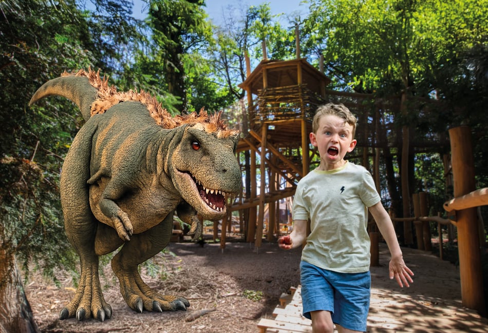 <p>Meet the dinosaurs at Birdworld</p>
